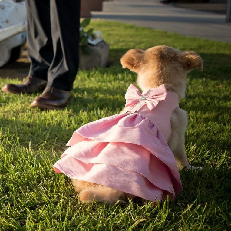 Puppy Pink