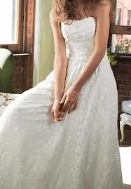 Final Sale David's Bridal Galina wg3512