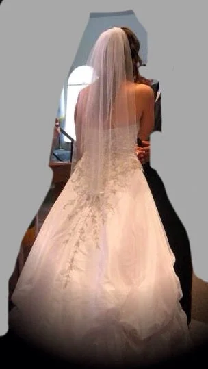 Limited Time Discount David's Bridal 7v9359