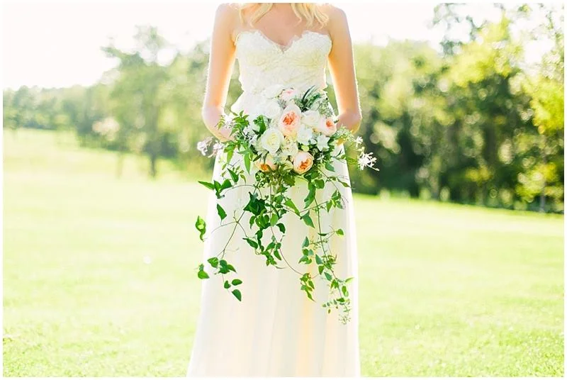 Price Rollback Sarah Seven Clementine